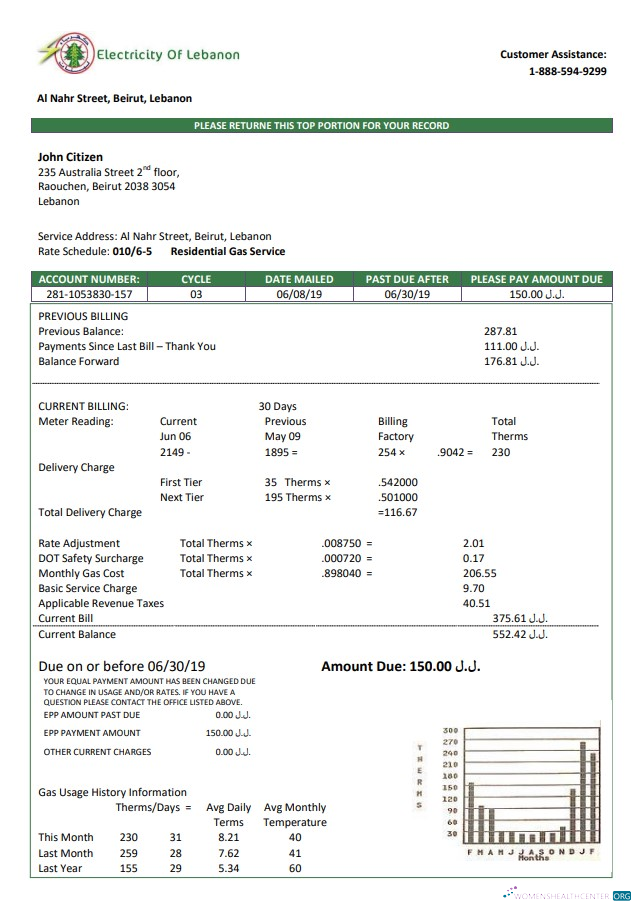 download Lebanon Electricity of Lebanon utility bill template in Word and PDF format PDF template